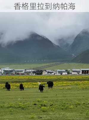 香格里拉到纳帕海