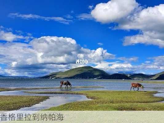 香格里拉到纳帕海