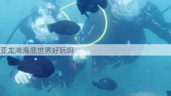 亚龙湾海底世界好玩吗