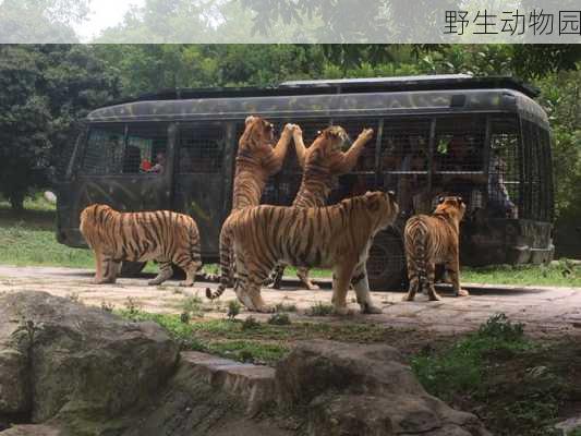 野生动物园