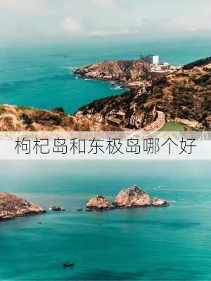 枸杞岛和东极岛哪个好