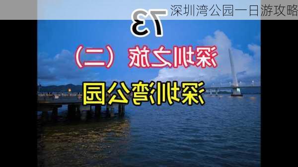 深圳湾公园一日游攻略