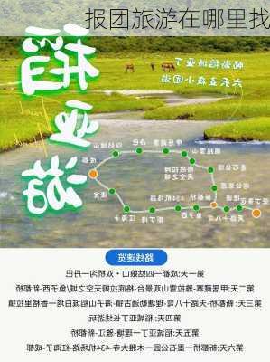 报团旅游在哪里找