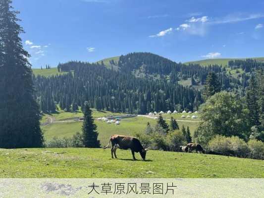 大草原风景图片