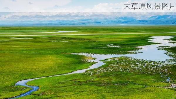 大草原风景图片