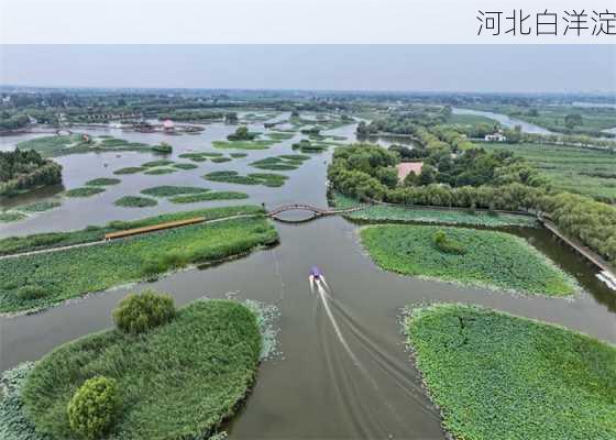 河北白洋淀