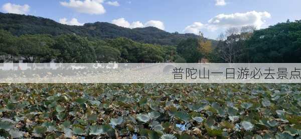 普陀山一日游必去景点