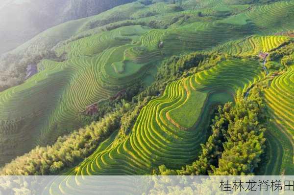 桂林龙脊梯田