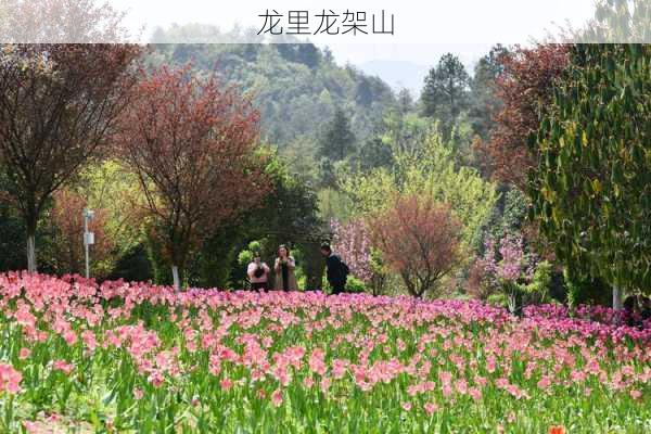 龙里龙架山