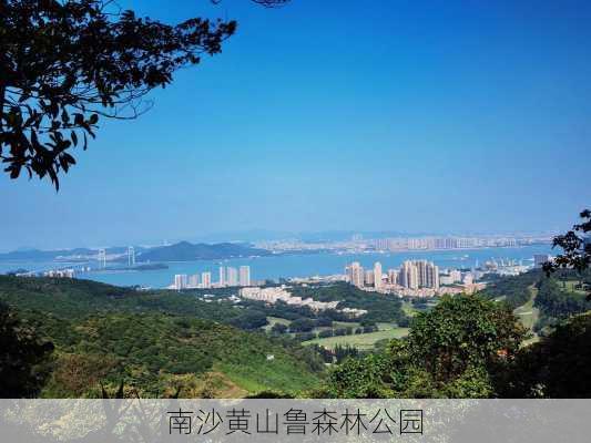 南沙黄山鲁森林公园