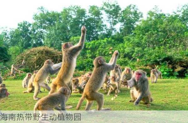 海南热带野生动植物园