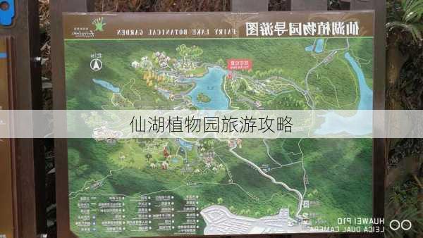 仙湖植物园旅游攻略