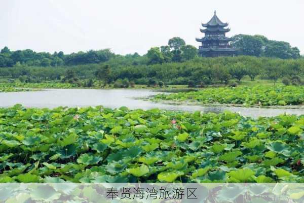 奉贤海湾旅游区