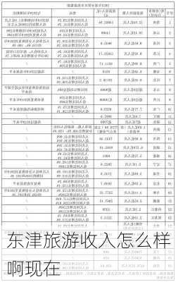 东津旅游收入怎么样啊现在