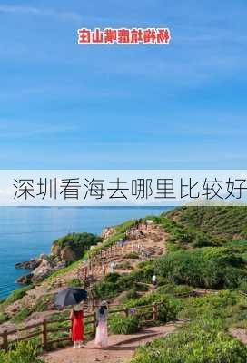 深圳看海去哪里比较好