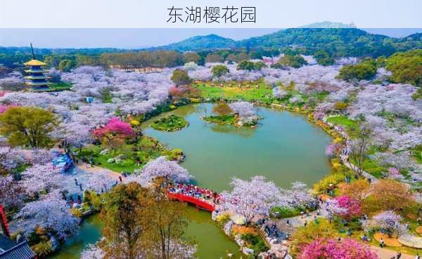 东湖樱花园