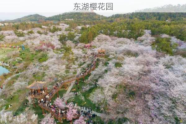 东湖樱花园