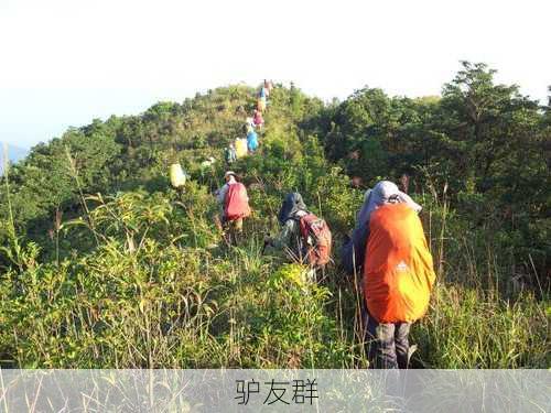 驴友群